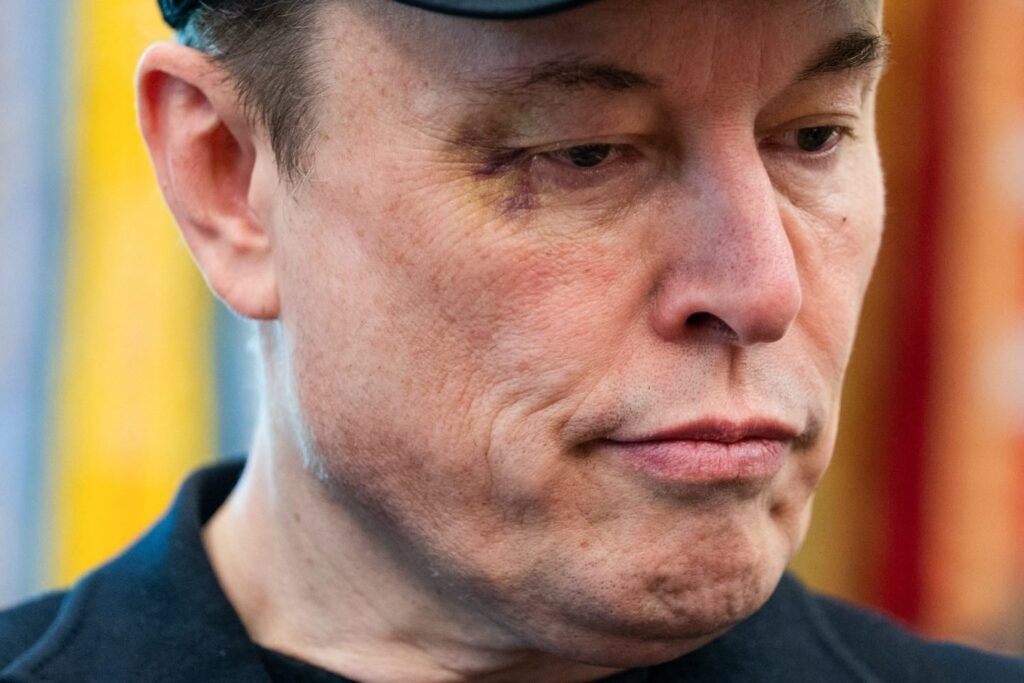 Robotaxi: Canh bạc ai cũng hiểu chỉ trừ Elon Musk vẫn ‘u mê’- Ảnh 1.