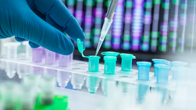 DNA được sử dụng như thế nào để xác định nạn nhân trong các thảm họa hàng loạt?- Ảnh 1.